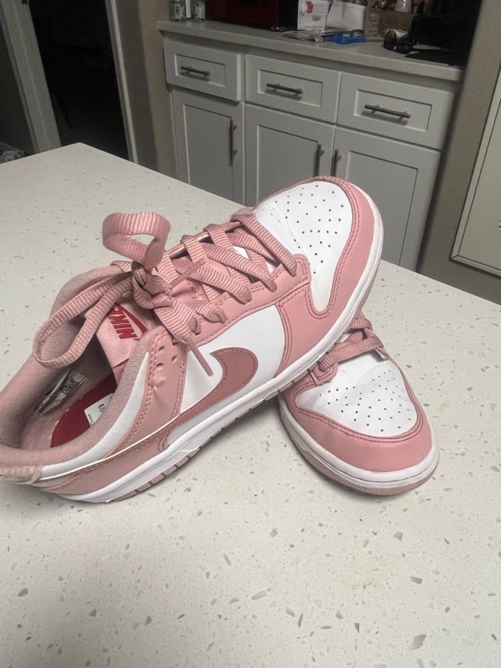 Nike Pink and White Low-Top Dunk-Style Sneakers